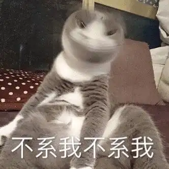 不系我不是我猫咪摇头表情包不系猫咪摇头不是表情