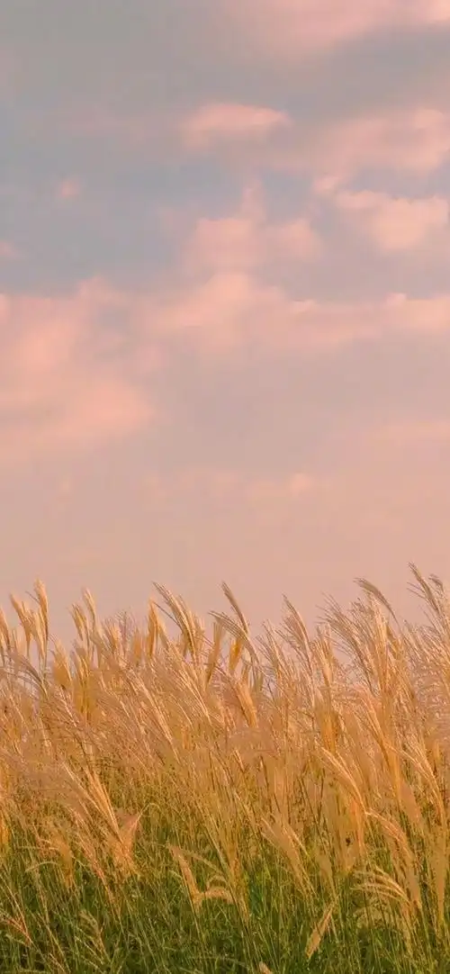 唯美小清新风景高清手机壁纸