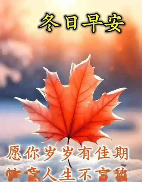 在这充满思念的季节里,给你真挚的祝福及深深的思念,亲爱的朋友,早安!