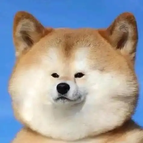 动物头像沙雕搞笑表情包