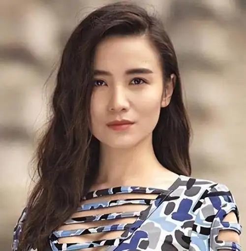 演员宋佳:坚韧与争议