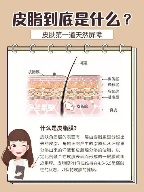 科普75什么是皮脂膜71皮脂膜受损了怎么办75