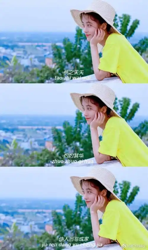 小鞠三宫格壁纸