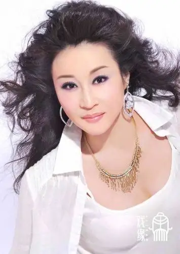 赵媛媛(黄梅戏传承人,国家一级演员,梅花奖得主)