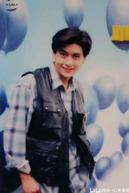 林志颖老照片花衬衫 合集