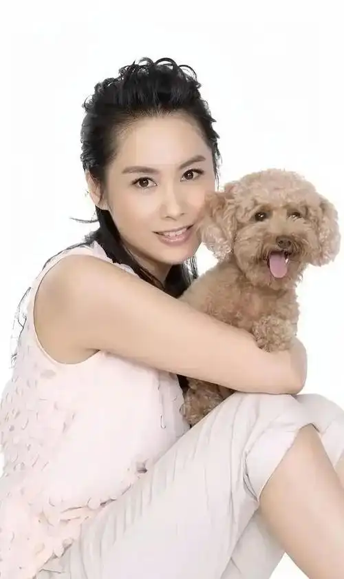 女星美图同享159——朱茵