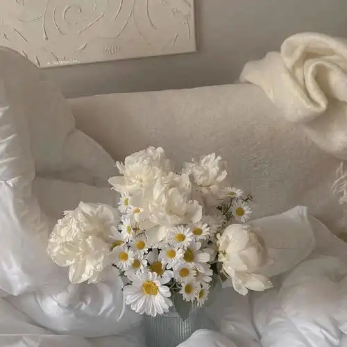 ins风微信朋友圈背景图