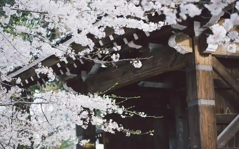 日本街头清新文艺风景高清桌面壁纸