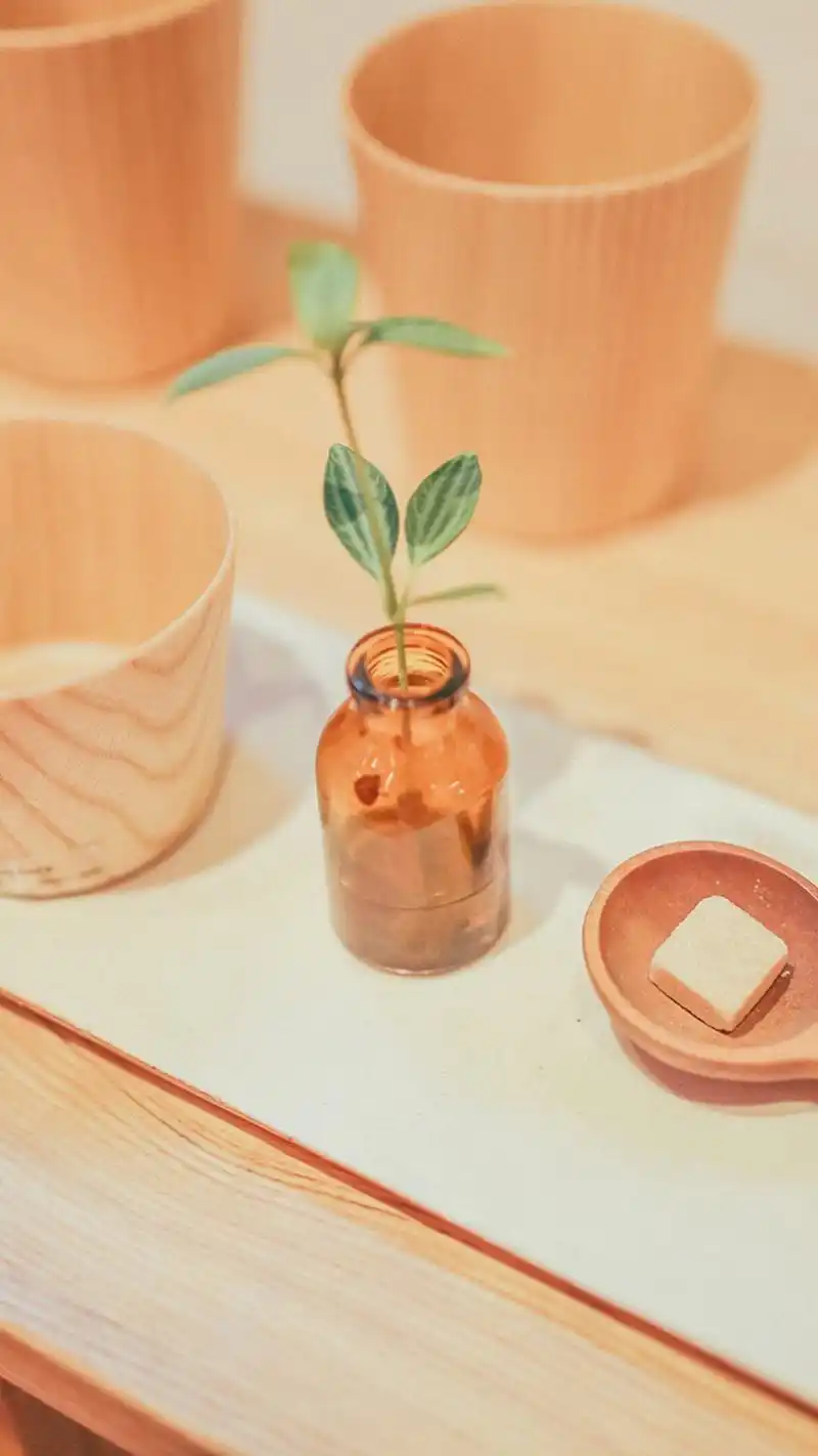 室内唯美小清新静物高清手机壁纸图片