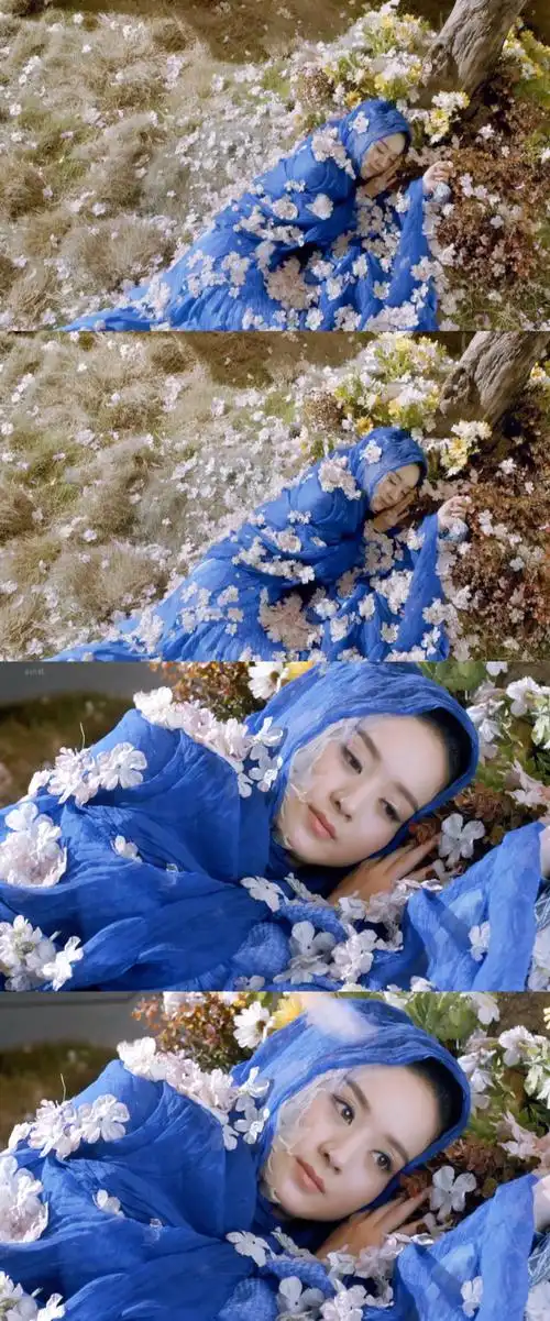 山有木兮木有枝,心悦君兮君不知』赵丽颖×花千骨|截修|壁纸|调色