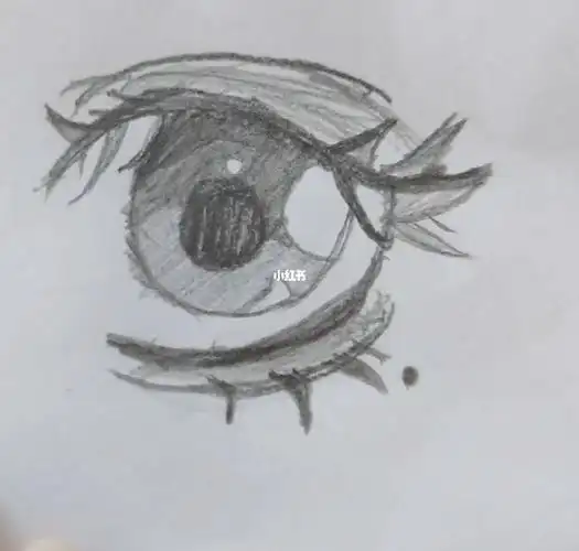 跟着纸废废学画眼睛