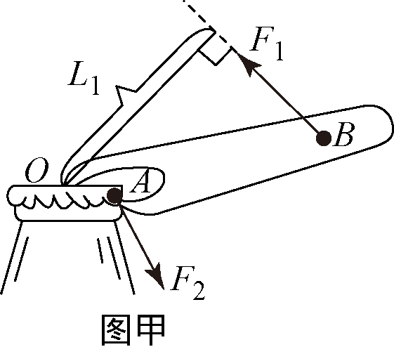 如图甲所示,用瓶起开启瓶盖,请画出动力的的f1力臂l2及阻力l2的示意图