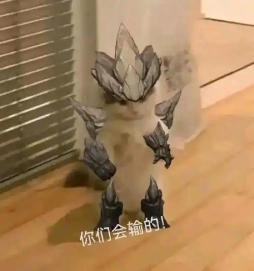 如果猫猫是lol英雄