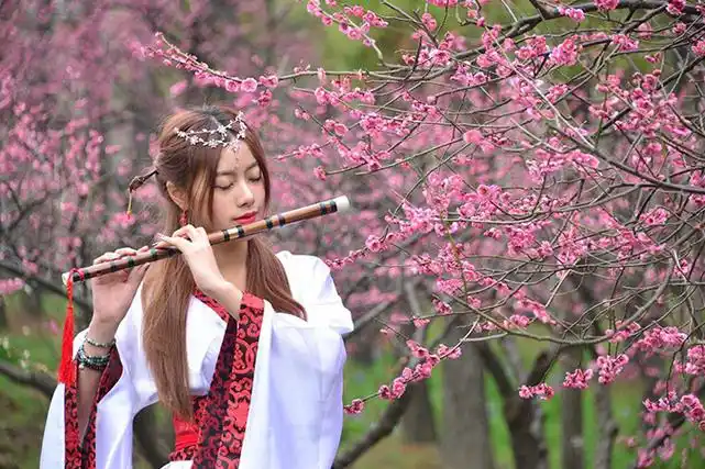 笛子f调和g调有什么区别