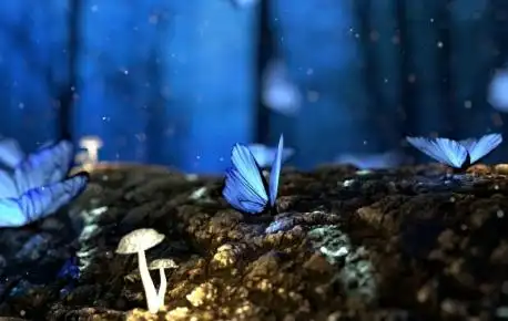 黑暗中发光 蓝色蝴蝶3440x1440唯美壁纸