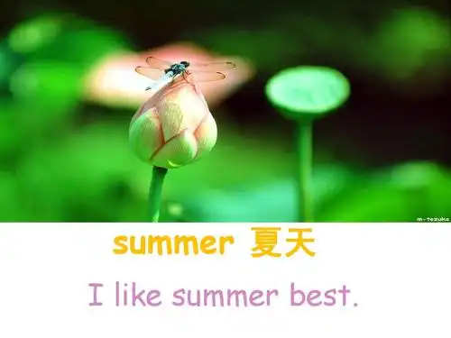 pep小学英语五年级下册第二单元课件2ppt