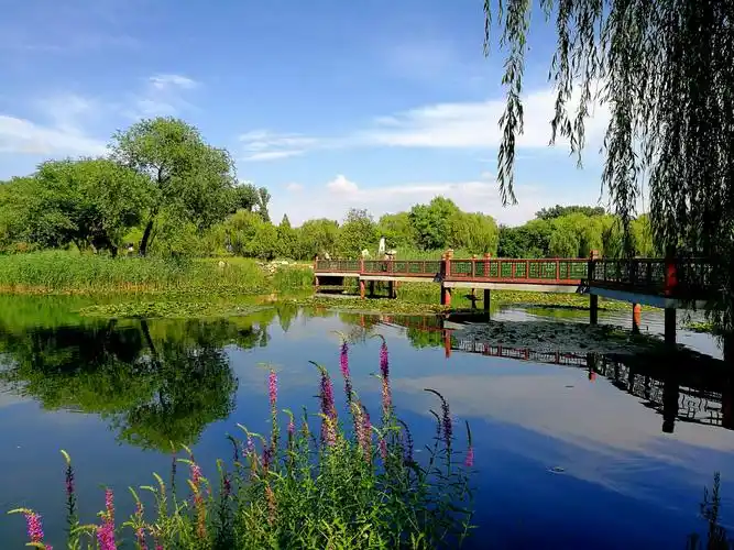雨后独游灿烂圆明园 20180613