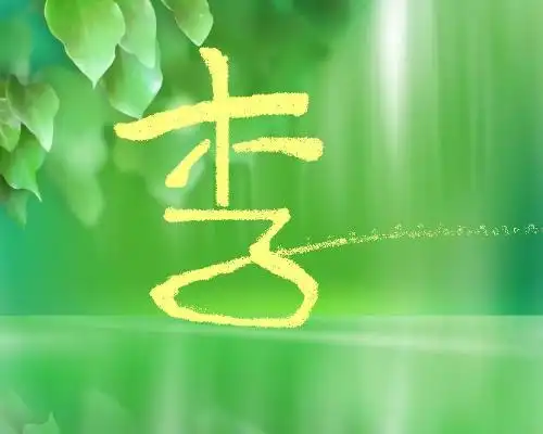 找人帮我做一个"李"字的qq头像