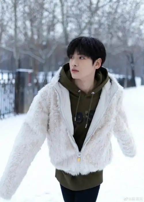 翟潇闻冬季恋歌氛围感大片