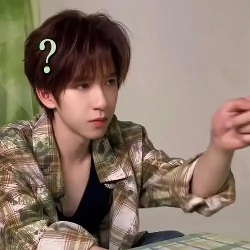 贺峻霖一个人就是一套表情包#贺峻霖咸甜粽子人格分裂