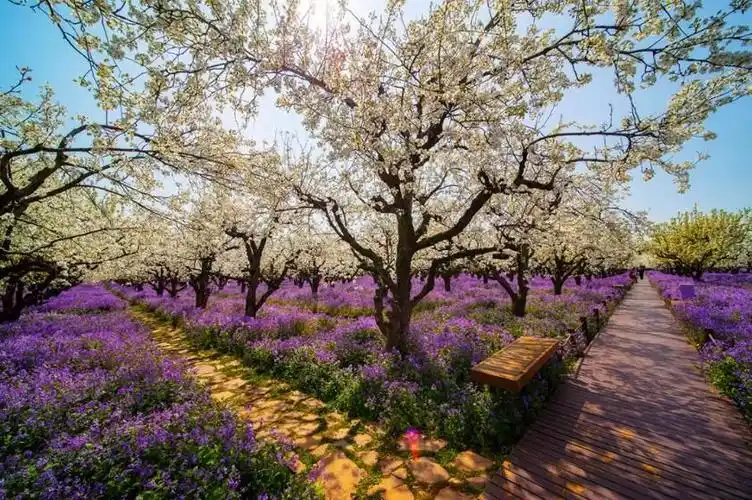宿迁三台山, 又一次美出新高度!