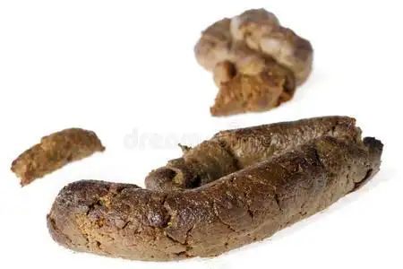 孤立的大便照片