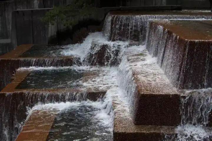 跌水塑造之美国派-景观植物-筑龙园林景观论坛