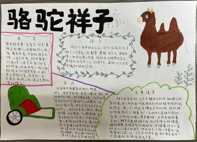 七下《骆驼祥子》名著手抄报