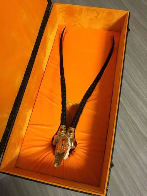 藏羚羊角的可贵