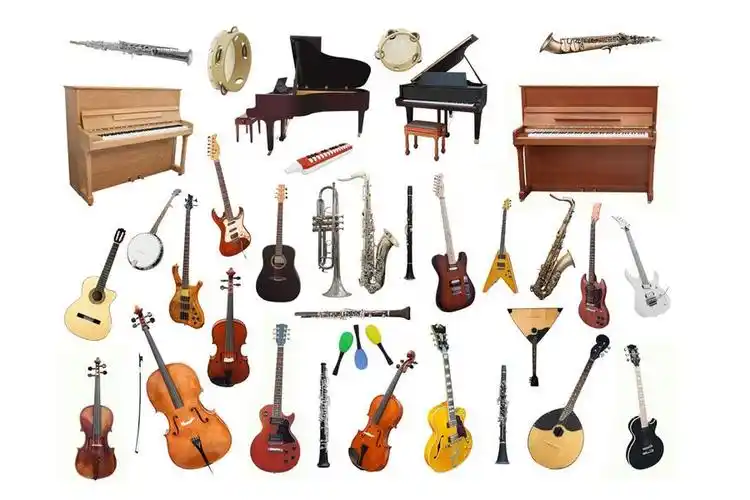 西洋乐器分类