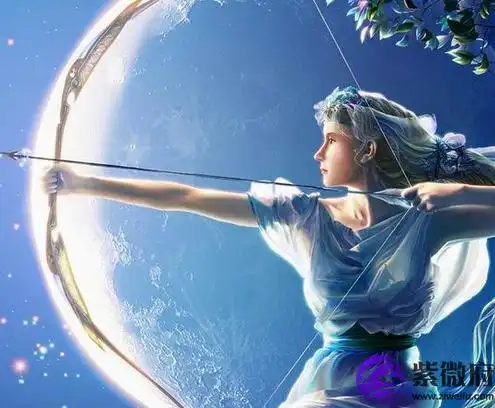 金星射手座分析-紫微府