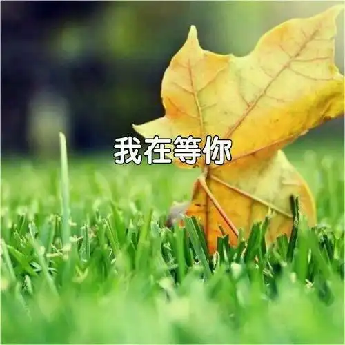 我在等你