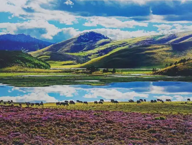 《醉美川西——凉山篇》