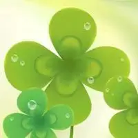 带有水珠的幸运草图片有露珠的幸运草头像点击鼠标右键下载