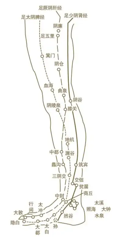 拍小腿祛寒的方法还可护肝强脾补肾67