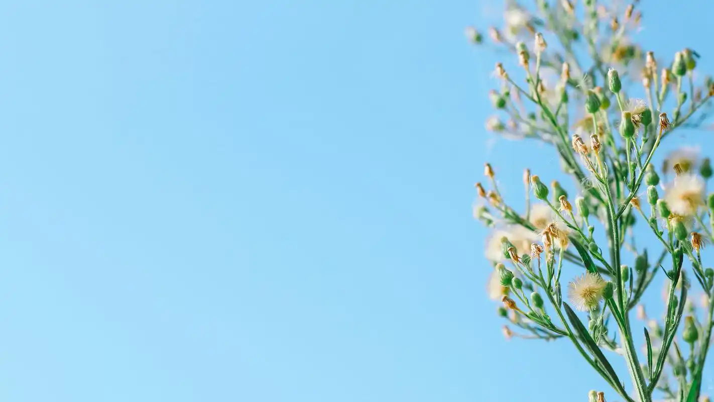 小清新风景图片高清桌面电脑壁纸 第二辑