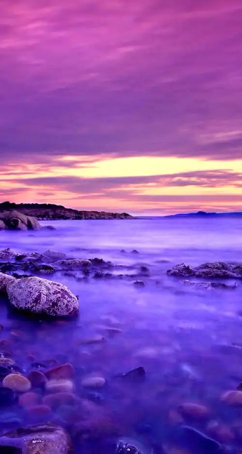 紫色- 堆糖,美图壁纸兴趣社区