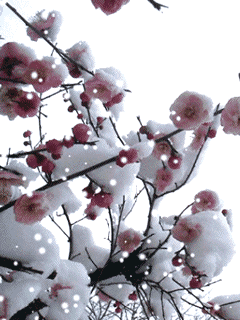 动态风景手机壁纸(2)240*320_爱上素材网