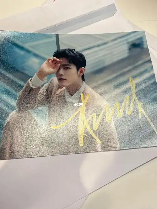 肖战签名照亲签工作室照