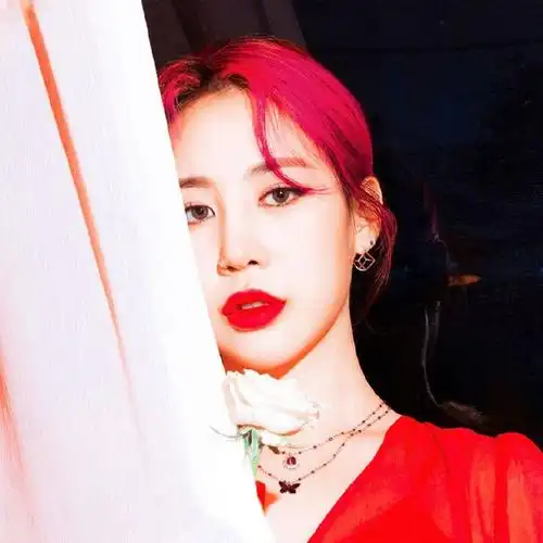 朴智敏jamie大吧