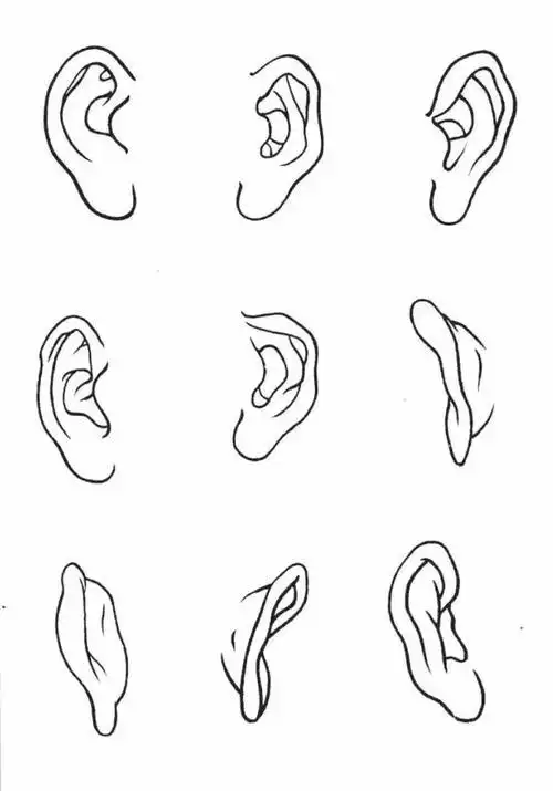 简笔画五官 简笔画五官图片大全
