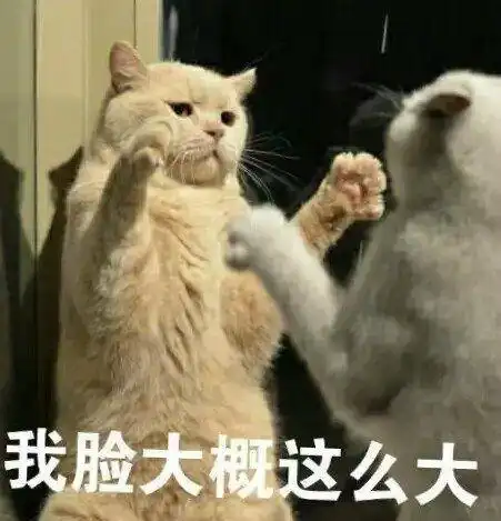 我脸大概这么大表情包 - 日常表情包