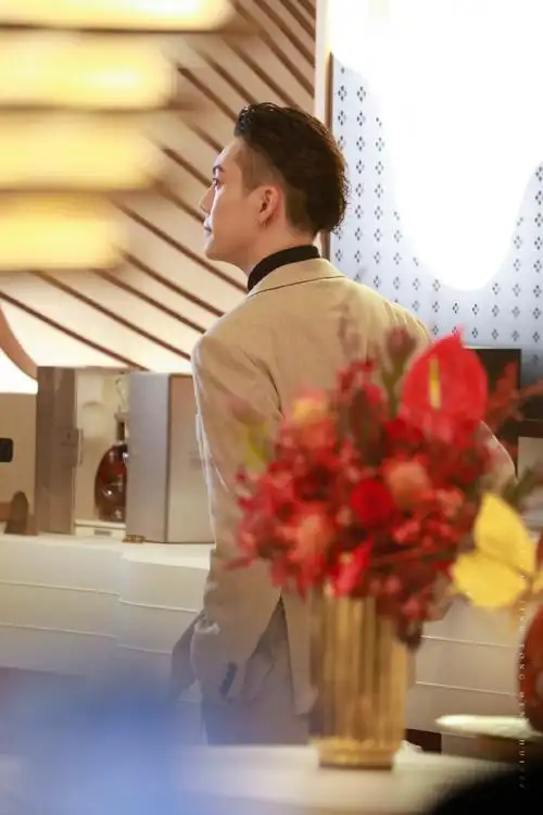 陈伟霆代言路易十三