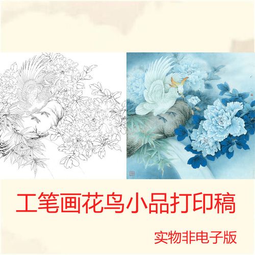 a283工笔画牡丹鹦鹉白描稿线描稿初学者步骤图勾线临摹实物打印稿