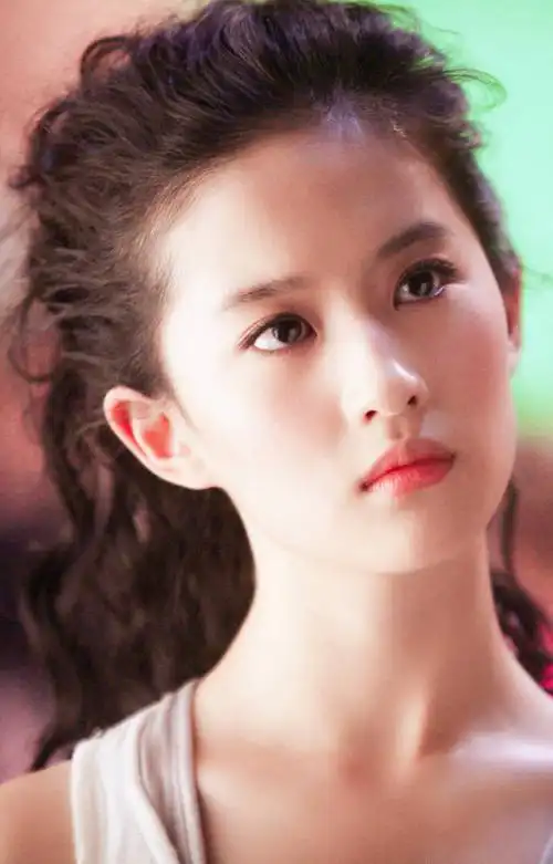 2008电影《功夫之王》电影《功夫之王》片尾一身现代装出现的刘亦菲