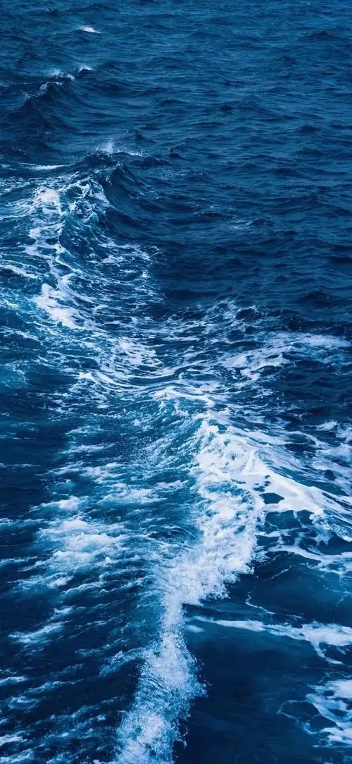 1080_2340竖版 竖屏