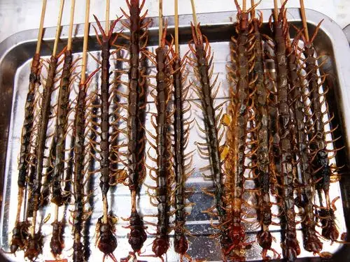 油炸蜈蚣,湖北宜昌     &