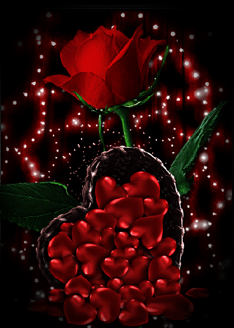 456_639竖版 竖屏gif 动态图 动图