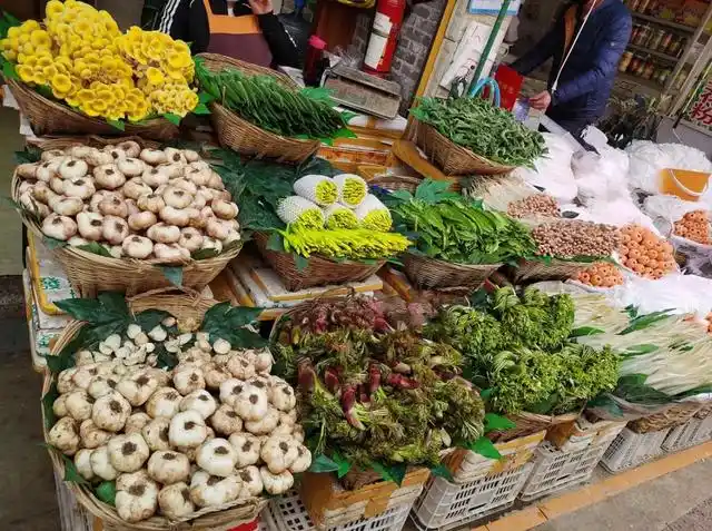 去了云南才知道,云南的菜市场就跟修仙大宗门的"灵药园"一样,什么都有