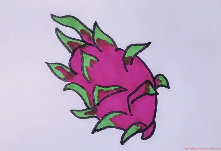 火龙果简笔画图片彩色火龙果怎么画教程